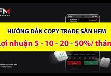 Hướng Dẫn Copy Trade Trên Sàn Exness, Sàn HFM 5% – 10% – 20% – 50% mỗi tháng
