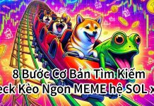 8 Bước Cơ Bản Tìm Kiếm & Check Kèo Ngon MEME hệ SOL x100 hạn chế Scam