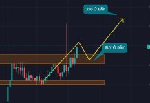10 SOL LÊN 100 SOL | Cách Đơn Giản Này Ai Cũng Có Thể Làm Được
